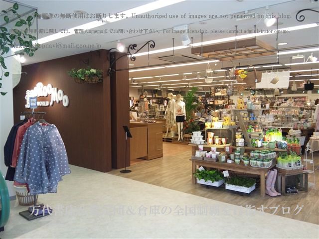 ドッポ新横浜店11-3