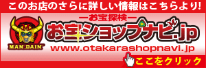 otakarashopnavi-jp-300-100