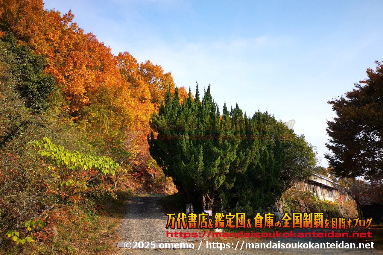 わたし雑貨店202511-018